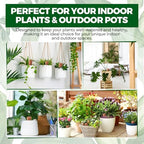 6 Pcs 4.9'' 5.9'' 6.7'' Terracotta Watering Spikes with Lid Automatic Plant Waterer Vacation Friendly Self Watering Planter Insert Plant Water Devices for Indoor Outdoor Plants, 3 Sizes - Image 6