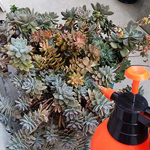 Watering Can House Plant Garden Flower Spout Water Can for Outdoor Watering Plants Air Compression Pump Watering Bottle Gardening Fertilizers Manual Air Pressure Spout Water Can ( Color : 2L NO.1 ) - Image 6
