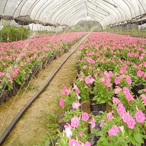 Drip Tape Irrigation Tubing Flat Pipe 5-200m For Garden Watering - Image 4