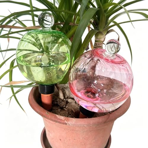 Automatic Plant Watering Globes 500ML 6Pcs - Image 2