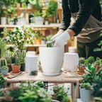 8 Inch Ceramic Planter Pot Round Plant Pot with Drainage Hole and Saucer Modern Flower Pot for Indoor Outdoor Plants White - Image 2