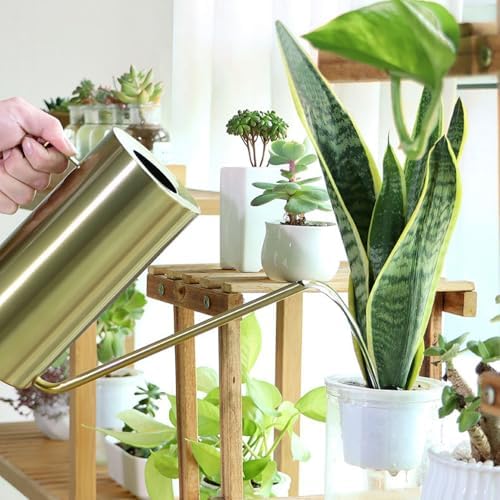 1.5L Stainless Steel Watering Can, Gold Long Spout Flower Jug for Table Bonsai - Image 3