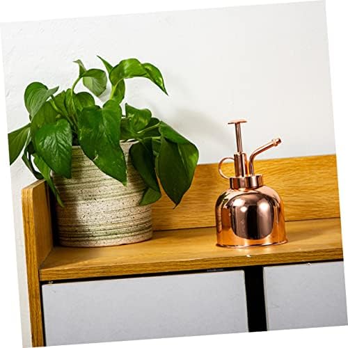 Vintage Stainless Pump 300ml Can Watering Mister, with Steel Plant - Image 2