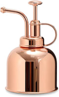 Plant spray bottle, stainless steel watering spray bottle, plant spray bottle and family garden plant spray bottle, 250ML (bright red copper) by Unknown