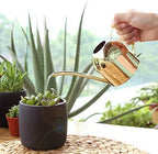 Stainless Steel Watering Kettle 500ml for Succulents and Flowers - Image 3