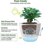 UOUZ 12inch 2Pack Large Self Watering Planters, Plastic Plant Pots with 60oZ Removable Deep Reservoir and Multi Mesh Drainage Holes for Indoor Outdoor Garden Plants and Flowers, White - Image 3