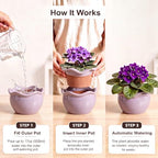 6.5 inch self Watering African Violet pots, Smoky Purple - Image 3