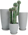 24,21,11 Inch Large Plastic Planters with Drainage Hole and Saucer - Set of 3 Tall Plant Pots Indoor Flower Pot Tall Round Planters Outdoor Large Tall Planter by MinCHI257