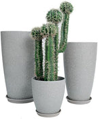 24,21,11 Inch Large Plastic Planters with Drainage Hole and Saucer - Set of 3 Tall Plant Pots Indoor Flower Pot Tall Round Planters Outdoor Large Tall Planter by MinCHI257