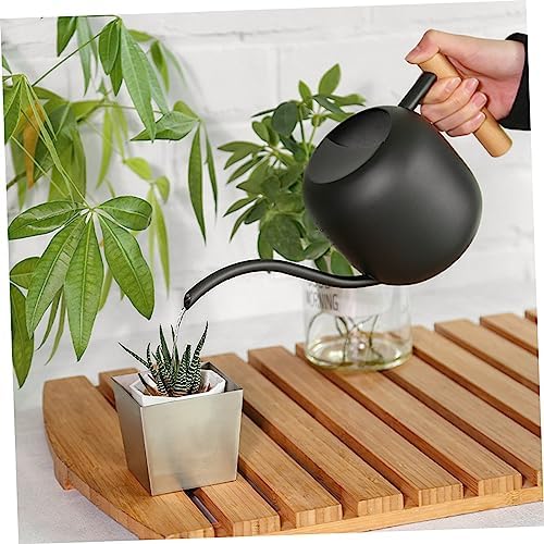 Xmas Stainless Steel Gardening Watering Can with Long Spout - Image 6