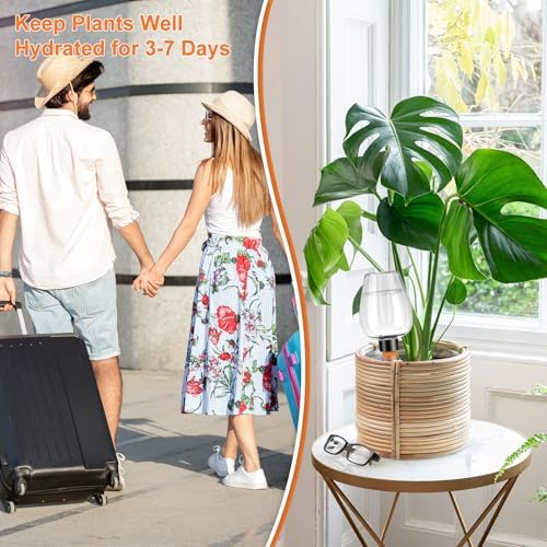 8 Pcs Plant Watering Globes Self Watering Planter Insert Plants Top Fill Water Device Plastic Water Bulbs Slow Release Terracotta for Plants, Clear - Image 4