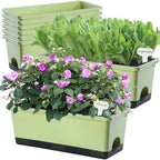 Oliz Window Box Planter 8 Pcs, 17 Inches Rectangle Flower Pots with Drainage Holes & Trays, Vegetable Planters for Windowsill Patio Garden Balcony Home Indoor Outdoor (Light Green, 16 * 7 * 6 inch) by Oliz