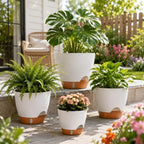 Large Self Watering Pots for Indoor Plants, 12/10/9/8 Inch White - Image 7