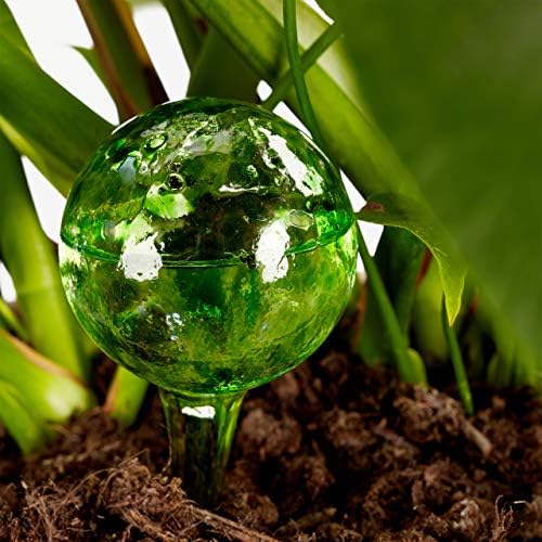 Relaxdays Globes, Regulated Irrigation for Plants and Flowers, Office & Holiday Watering Aid, Glass, Green, Set of 2 - Image 2