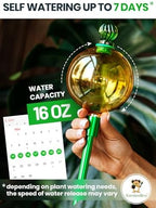 16 Oz 3 pcs Plant Watering Globes for Indoor Plants with Metal Self Watering Planter Insert - Premium XL Glass Hand-Blown Globes - Automatic Plant Waterer Indoor [Golden, Green & Crystal] - Image 2