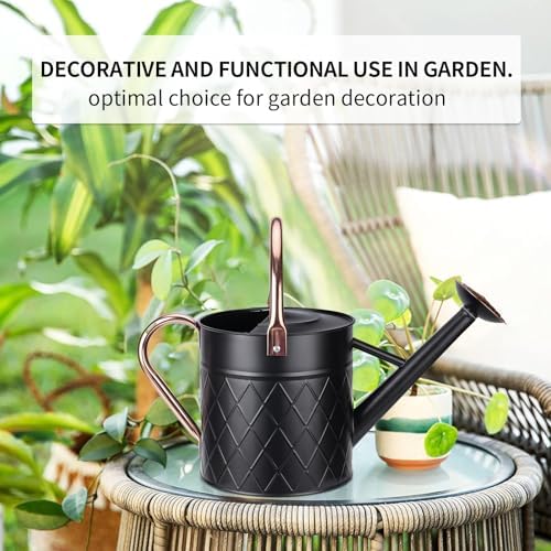 1.75 Gallon Outdoor Metal Watering Can for Garden Plants, Vintage Zinc Watering Can with Removable Spray Spout, Ideal for Outdoor Use (Black) - Image 5