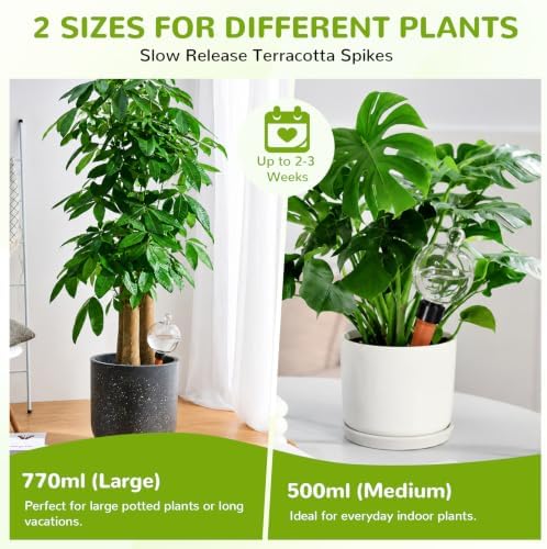 Plant Watering Globes Top Fill Self Watering Globes Set - Image 5