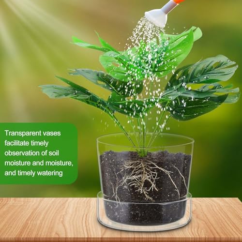 2 Sets 6 Inch Glass Planter with Drainage Hole and Tray Indoor Clear Plant Pots with Saucer Modern Decorative Orchid Glass Pot for Outdoor Flower Plants - Image 5