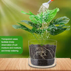 2 Sets 6 Inch Glass Planter with Drainage Hole and Tray Indoor Clear Plant Pots with Saucer Modern Decorative Orchid Glass Pot for Outdoor Flower Plants - Image 5