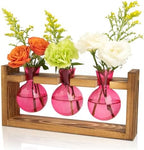 XXXFLOWER Upgraded Glass Plant Mister Spray+3 Pink Bulb Glass Propagation Station - Image 6