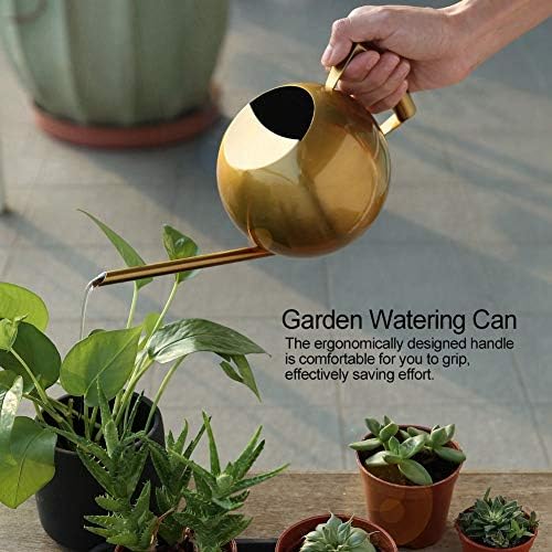 FLEXMAN 1000ml Stainless Steel Watering Can with Long Spout, Long Spout Modern Style Watering Pot, Small Watering Can for Outdoor Indoor Plants (Gold) - Image 3