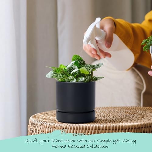 Phoenix Vine 4 Inch Planter Pot with Drainage Hole & Saucer, Deep Water Catch Tray, Straight Cylindrical Round Pot for Plants, Matte Black, Pack of 6, 23-C-R-6 - Image 6