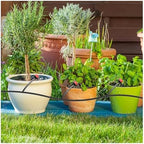 Irrigation System forgarden 50pcs Drip Emitters 1/4" Drip Irrigation Tubing 360° Adjustable Water Flow Drippers Garden Irrigation Garden Sprinkler - Image 7