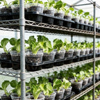 homenote 5 Pack 12 Cell Seed Starter Trays with 60 4 Inch Nursery Pots - Image 2