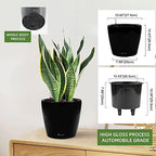 Dexceder 11x10 Self Watering Planter (Black High Gloss) - Image 3