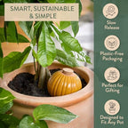 Modern Sprout Terracotta Self-Watering Bulbs, 10oz - Sage - 2Pk - Image 2