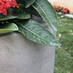 Kante Large 18" Round Concrete Planter, Modern Bowl Plant Pot for Home - Image 5