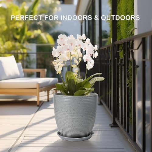 Plant Pot Saucers - Ceramic Plant Saucers for Outdoors 12 inch Plant Trays for Indoors No Holes Plant Drainage Trays Round Flower Pot Saucers Plant Plates to Catch Water 2 Pack Gray - Image 5