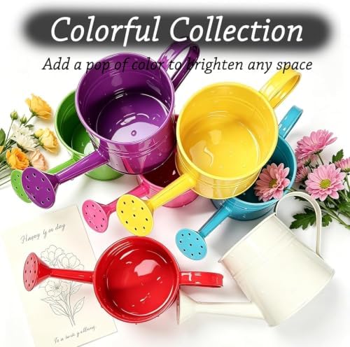 Green 1l Small Watering Can – Retro Metal,Sprinkler Head,Spray Spout for Indoor Plants,Kids,Outdoor Flowers & House - Image 6