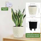Dexceder 9x8 Self Watering Planter (White Gold Crackle) - Image 2