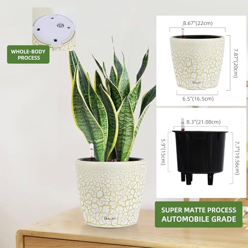 Dexceder 9x8 Self Watering Planter (White Gold Crackle) - Image 2