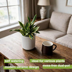 Ceramic Self Watering Plant Pot for Indoor Plant,5 inch,White,2pack - Image 4