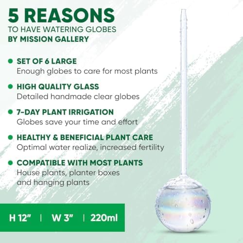Clear Plant Watering Globes Set of 6 - Large Self Watering Globes for Indoor & Outdoor Plants - Automatic, Glass Watering Bulbs for Daily Use, Plant Watering Devices - Image 3