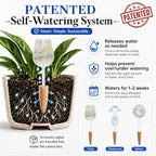 HyJeryty Non-Clogging Iridescent Tulip Plant Watering Globes with Terracotta Spikes, Hand Blown Glass Self Watering Planter Insert, Watering Bulbs for Indoor Small & Medium Potted Plants (3 Pack) - Image 6