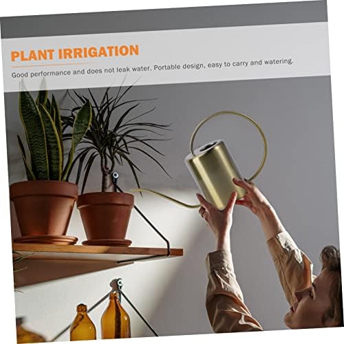 Stainless Steel Watering Kettle 2000ml Golden for Gardening Home - Image 2