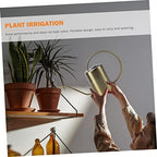 Stainless Steel Watering Kettle 2000ml Golden for Gardening Home - Image 2