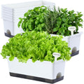 Oliz Window Box Planter 8 Pcs, 17 Inches Rectangle Flower Pots with Drainage Holes & Trays, Vegetable Planters for Windowsill Patio Garden Balcony Home Indoor Outdoor (White, 16 * 7 * 6 inch) by Oliz