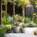 Kante Set of 3 Weathered Concrete Bowl Planters 18" 14" 10" Dia - Image 7