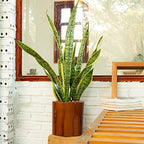 7.8 in Self-Watering Square Planter, 8 Inch, Dark Brown - Image 3