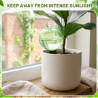 12 Pack 17 oz Self Watering Globes for Plants with Covers, Green - Image 4