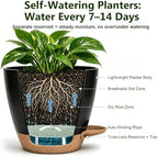 Plant Pots for Indoor 9/8/7/6.5/6/5 Inch, Self Watering Planter Pots with Drainage Holes and Saucers, 6Pcs Plastic Flower Pots for Indoor & Outdoor Plants（Black） - Image 4