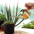 Naysku Long Spout Watering Can, Stainless Steel Rustic Retro Textured - Image 2
