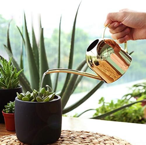 Naysku Long Spout Watering Can, Stainless Steel Rustic Retro Textured - Image 2