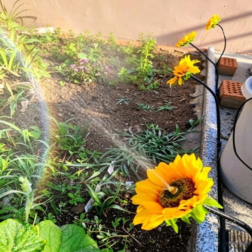 Sunflower Shape Misting Sprinkler Head with Hose, Drip Irrigation System - Image 7