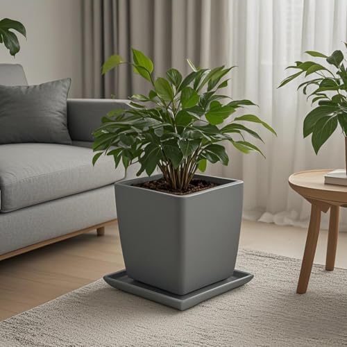 Square Ceramic Plant Saucer Tray 10 11 12 Inch Grey,12.4" OD x10.8 ID x1.4 Deep, Sturdy Heavy Duty Glazed Planter Drip Flower pots with Catch Basin for Indoor Outdoor Plants(12" Grey) - Image 6