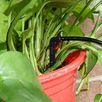 Garden 3/5mm PVC Hose Micro Drip Irrigation System, with 2-Way Connector 1/8'' Tubing Pipe Arrow Dripper Greenhouse(75M) - Image 4